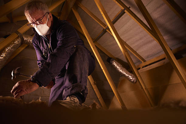 Best Cellulose Insulation  in Kula, HI